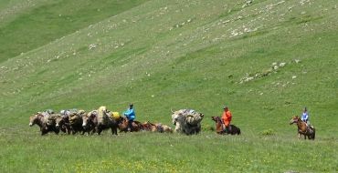 Mongolische Karawane, Trekking mit Yaks