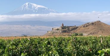 Weinreben, Chor Wirap und Ararat