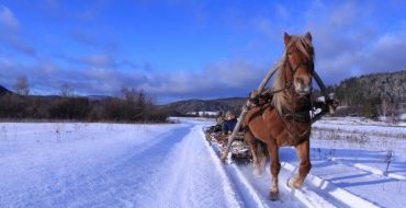 Pferdeschlitttentour im Ural