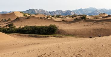Sanddünen vor demKhogno Khan Gebirge