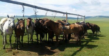 Mongolischer Pferdestall