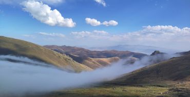 Nebelschlange (Foto: greyedview.com)