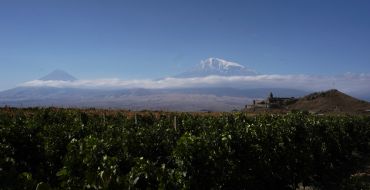 Weinstöcke, Chor Wirap, Ararat